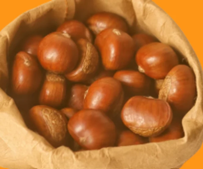 Roasted Chestnuts
